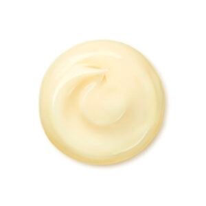 [SHISEIDO] Benefiance Wrinkle Smoothing Cream Enriched 皺紋平滑滋潤乳霜 50g：圖片 3